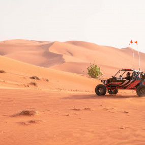 Photo from Dune Buggy Safari with Camp Dinner and Desert Activities in الشارقة: Gallery Photo zo444n