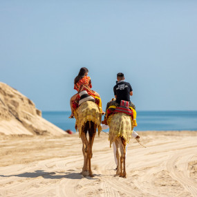 Day Pass at Al Majles Resort with Lunch/Dinner in Doha: Gallery Photo 35dk66