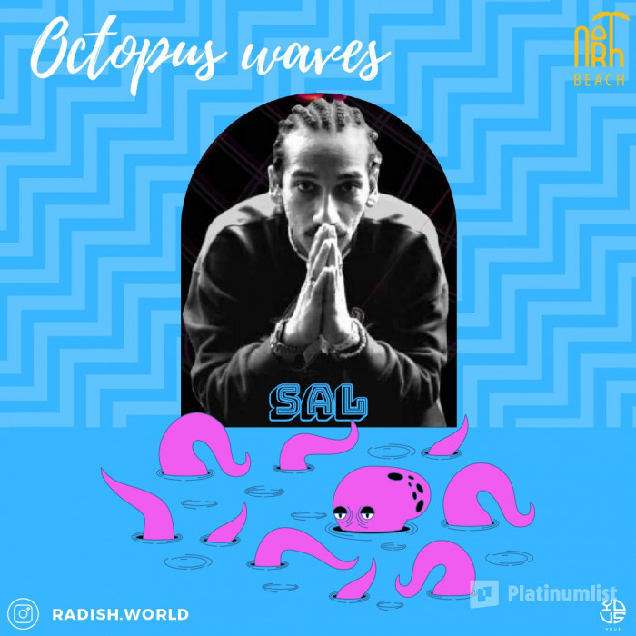 Octopus Waves в Джидда: Галерея фото 3b86bg