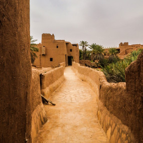 Full Day Ushayger Tour with Lunch in Riyadh: Gallery Photo 3peo4y