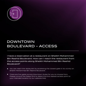 Emaar New Year's Eve 2024 at Burj Park, Downtown в Дубай: Галерея фото n28194