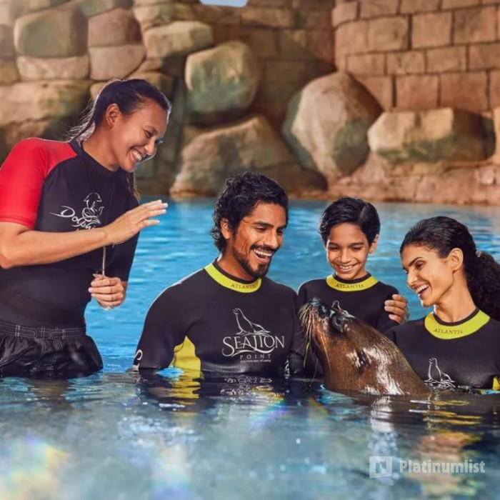 Sea Lion Experiences at Atlantis The Palm в Дубай: Галерея фото 34k9b8