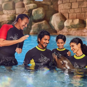 Sea Lion Experiences at Atlantis The Palm в Дубай: Галерея фото 34k9b8