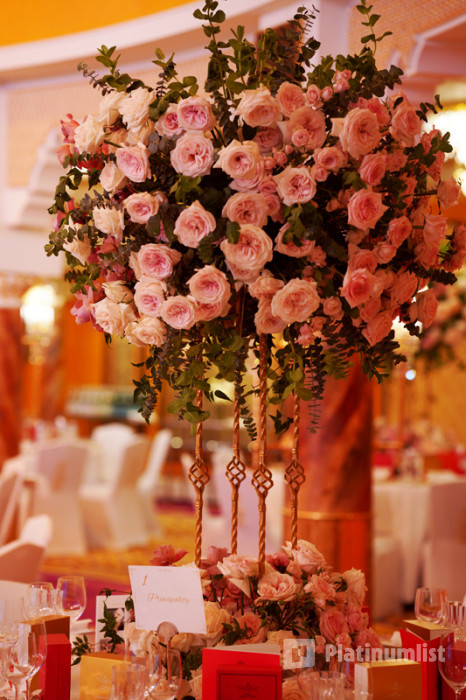 The Grand Ball of Monte-Carlo / The Princely World Gala in Dubai in Dubai : Galerie de photos 3pe718