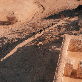 Jebel Buhais Tour in Sharjah: Gallery Photo zv5rj4