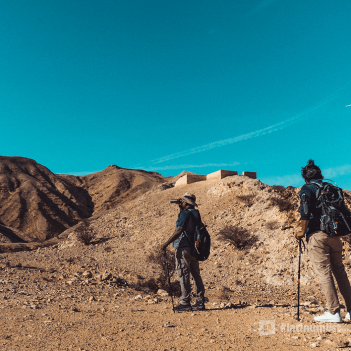 Jebel Buhais Tour в Шаржа: Галерея фото 3pe74y