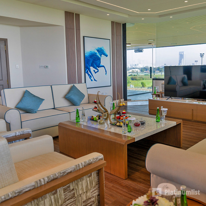 zm47xw استديو الصور :أبوظبي في كأس رئيس الدولة في نادي أبوظبي للفروسية