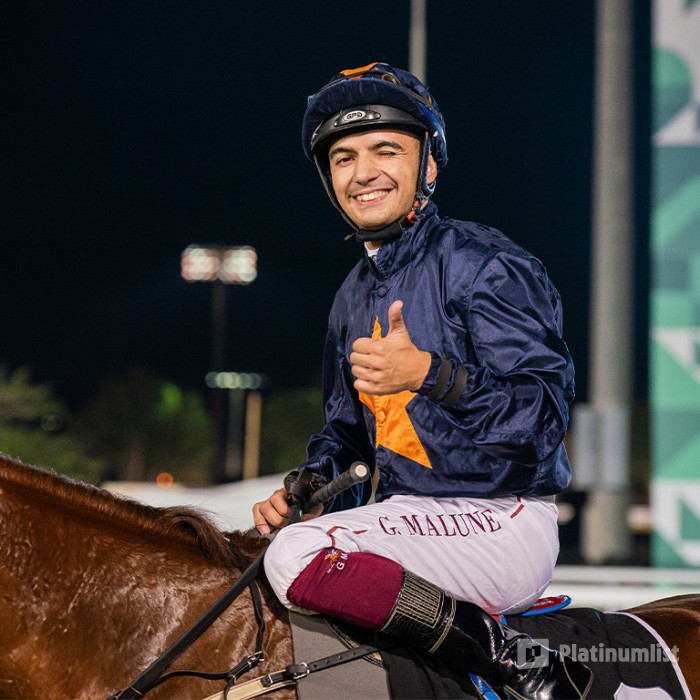 z91jv8 استديو الصور :أبوظبي في كأس رئيس الدولة في نادي أبوظبي للفروسية