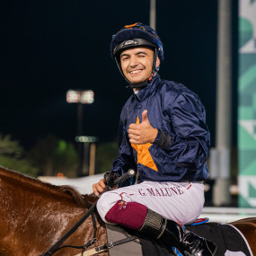 z91jv8 استديو الصور :أبوظبي في كأس رئيس الدولة في نادي أبوظبي للفروسية