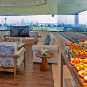 Photo from The President Cup at Abu Dhabi Equestrian Club in Abu Dhabi: Gallery Photo zv5r74