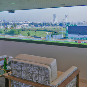 Photo from The President Cup at Abu Dhabi Equestrian Club in Abu Dhabi: Gallery Photo 38vo06