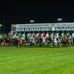 Photo from The President Cup at Abu Dhabi Equestrian Club in Abu Dhabi: Gallery Photo 3pe7ky