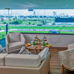 Photo from The President Cup at Abu Dhabi Equestrian Club in Abu Dhabi: Gallery Photo zgk797