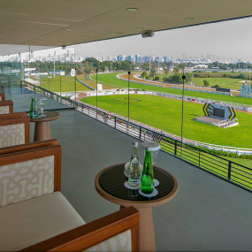 Photo from The President Cup at Abu Dhabi Equestrian Club in Abu Dhabi: Gallery Photo zoo7yb