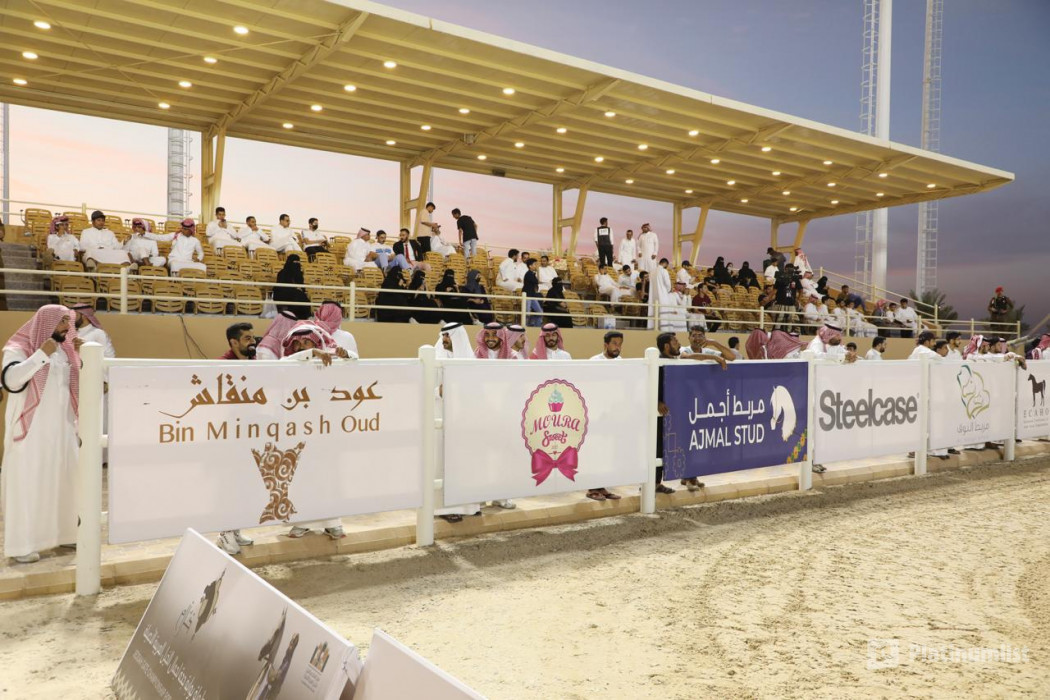 Al Mortajaz Arabian Horses Championship in Riyadh in Riyadh: Gallery Photo z91j0q Al Mortajaz Arabian Horses Championship in Riyadh in Riyadh: Gallery Photo z91j0q