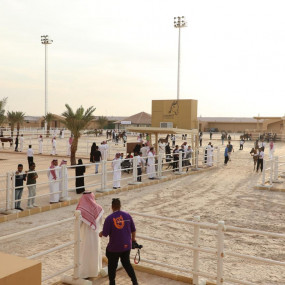 Photo from بطولة المرتجز لجمال الخيل العربية الأصيلة في الرياض in الرياض: Gallery Photo 38vom9