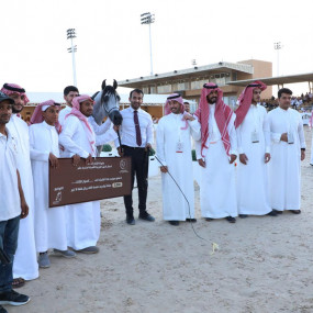 Photo from بطولة المرتجز لجمال الخيل العربية الأصيلة في الرياض in الرياض: Gallery Photo 3jk7xq