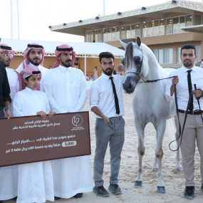 Photo from بطولة المرتجز لجمال الخيل العربية الأصيلة في الرياض in الرياض: Gallery Photo 3qb1wr