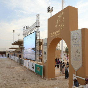 Photo from بطولة المرتجز لجمال الخيل العربية الأصيلة في الرياض in الرياض: Gallery Photo nk57yk