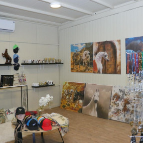 Photo from بطولة المرتجز لجمال الخيل العربية الأصيلة في الرياض in الرياض: Gallery Photo 3dk0gk