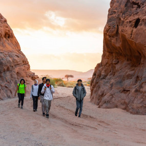 Hidden Valley Hike in Al Ula: Gallery Photo n6b7jy