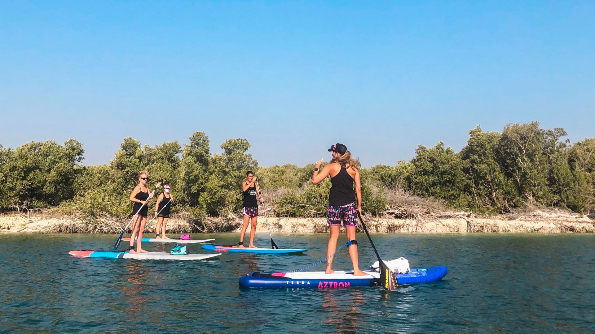 Photo from Guided SUP Tour in the Eastern Mangrove National Park Abu Dhabi in Abu Dhabi: Gallery Photo 3jk1jr