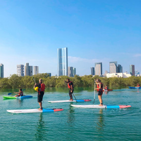 Photo from Guided SUP Tour in the Eastern Mangrove National Park Abu Dhabi in Abu Dhabi: Gallery Photo 3x80ek