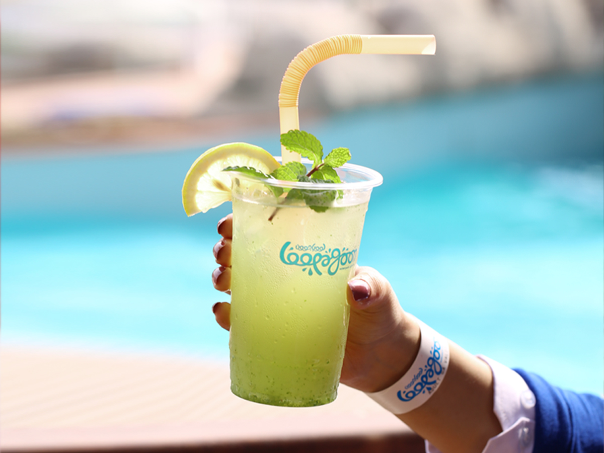 Photo from Loopagoon Water Park in Dammam: Gallery Photo n6b7dp