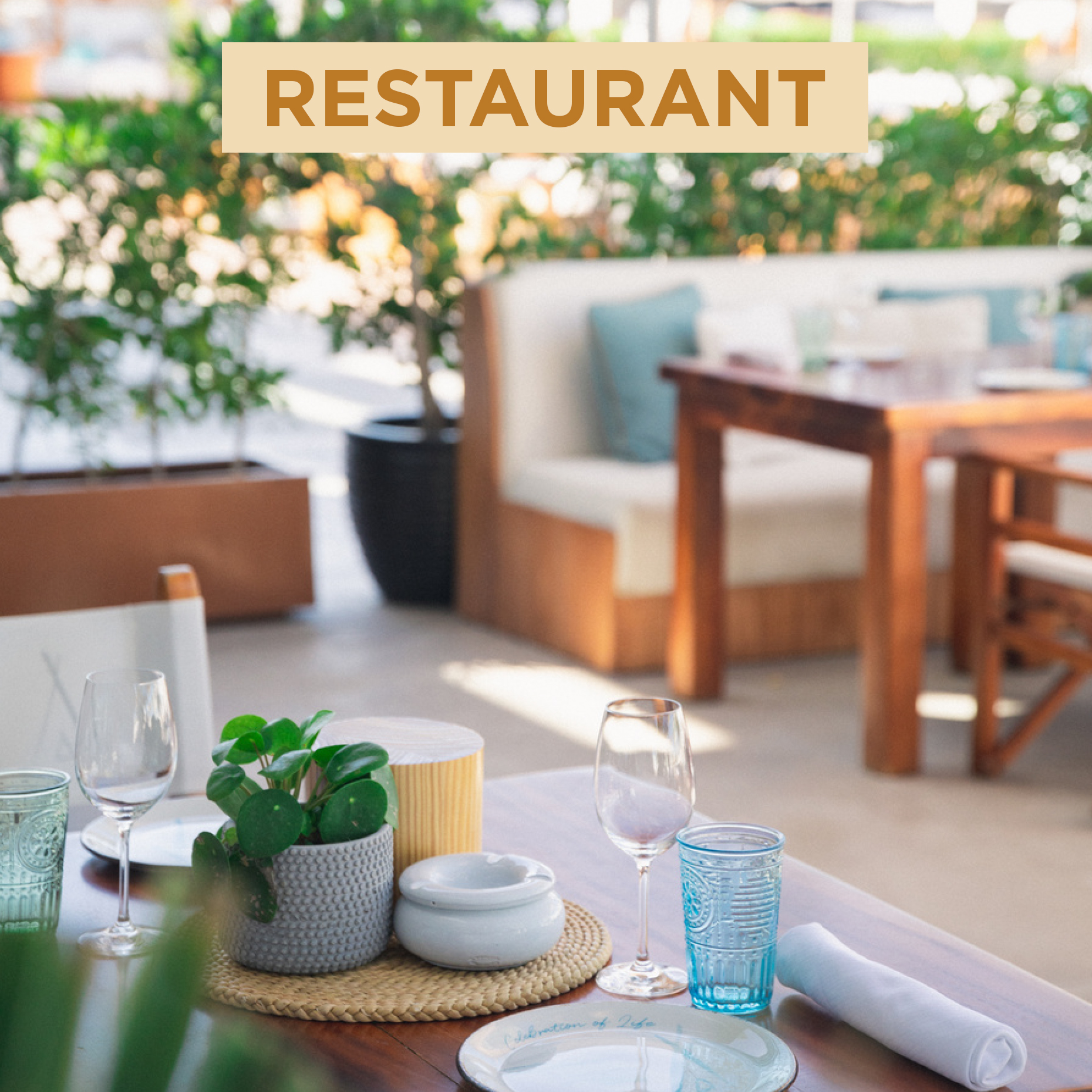 Photo from مهرجان أسرار الصيف في فندق نيكي بيتش في دبي in دبي: Gallery Photo 3y5070