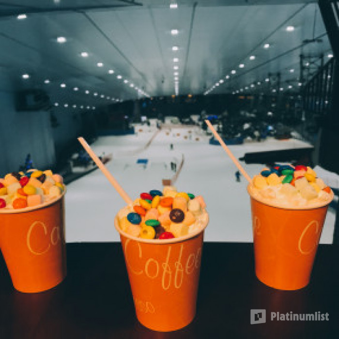 Ski Dubai: Snow Premium with Penguin Encounter in Dubai: Gallery Photo 34k7md