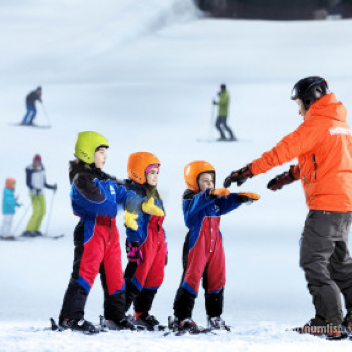 Ski Dubai: Snow Premium with Penguin Encounter in Dubai: Gallery Photo 3r50yk