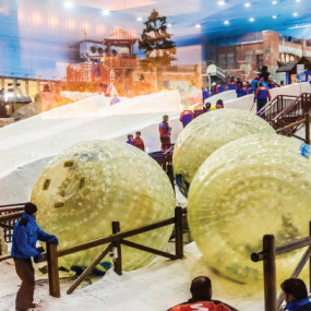 Ski Dubai: Snow Premium with Penguin Encounter in Dubai: Gallery Photo zw501k