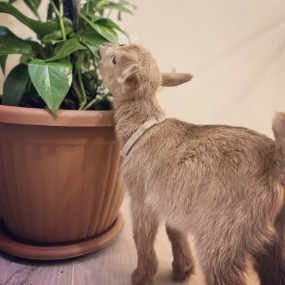 Photo from Sharqiah Adventure Pass in Dammam: Gallery Photo nk51ov