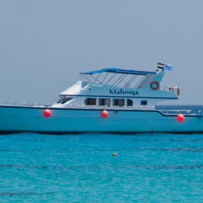 Photo from رحلة الغطس في جزيرة المحمية الجفتون والتوقف على الشاطئ في الغردقة in الغردقة: Gallery Photo 3x8ev7