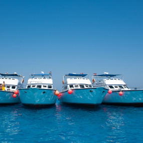 Photo from رحلة الغطس في جزيرة المحمية الجفتون والتوقف على الشاطئ في الغردقة in الغردقة: Gallery Photo 3y59o1