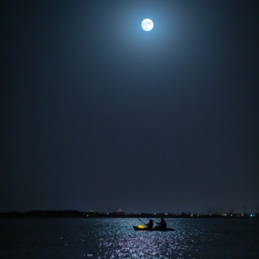 Photo from Full Moon Kayak Tour in Eastern Mangrove in Abu Dhabi: Gallery Photo 35dbxd