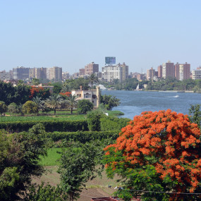 Photo from جولة يوم كامل من القاهرة: أهرامات الجيزة، وأبو الهول، والمتحف المصري مع غداء in القاهرة: Gallery Photo n6bd59