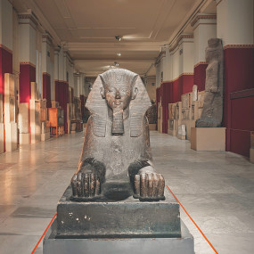 Photo from جولة يوم كامل من القاهرة: أهرامات الجيزة، وأبو الهول، والمتحف المصري مع غداء in القاهرة: Gallery Photo n14bxx