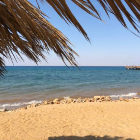 3jkj2w استديو الصور :القاهرة في رحلة غطس في العين السخنة لمدة يوم كامل وغواصة مع خدمة نقل خاصة ذهابًا وإيابًا من القاهرة