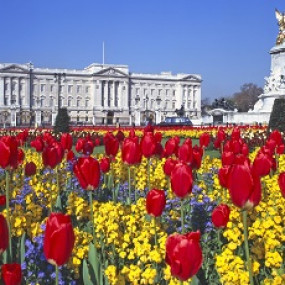 Photo from زيارة حدائق كيو وجولة مشي لمدة 3 ساعات في وستمنستر in لندن: Gallery Photo 3e5r0m