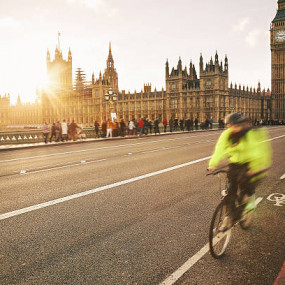 Photo from زيارة حدائق كيو وجولة مشي لمدة 3 ساعات في وستمنستر in لندن: Gallery Photo 34kb78