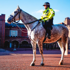 Photo from مدينة لندن المذهلة: شاهد أهمّ 30 معلمًا سياحيًا in لندن: Gallery Photo z91dp1