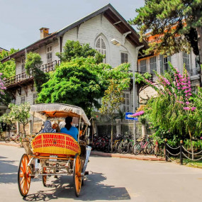 Daily Princes' Islands Tour: Full-Day Trip in Istanbul in Istanbul: Gallery Photo z91dv1