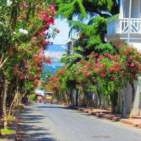 Daily Princes' Islands Tour: Full-Day Trip in Istanbul in Istanbul: Gallery Photo n08b0v