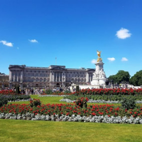 The London Top Sights Tour. Kids Free! in London : Galerie de photos zv5e78 The London Top Sights Tour. Kids Free! in London : Galerie de photos zv5e78