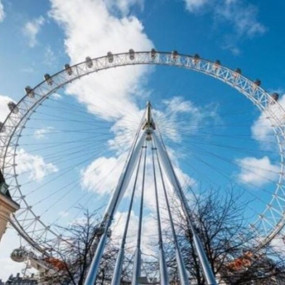 Photo from Westminster Walking Tour & London Eye Ticket in London: Gallery Photo z91d78