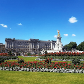 Photo from جولة بريطانية ملكية: المشي في لندن وعرض الحرس الملكي in لندن: Gallery Photo nk5xpv