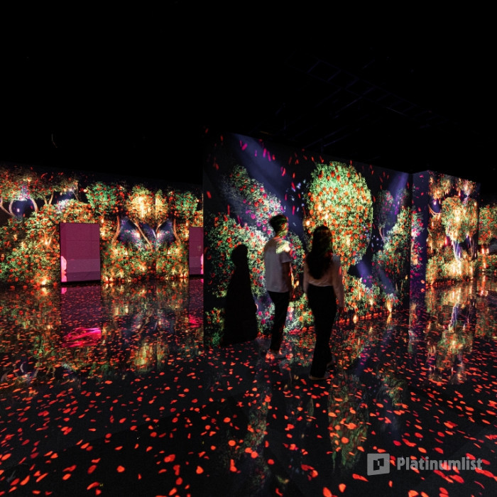 Arte Museum Dubai in Dubai: Gallery Photo zm49ky