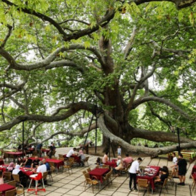 Фотография с Bursa and Uludag Mountain Day Trip with Lunch from Istanbul в Стамбул: Галерея фото 3jk99r