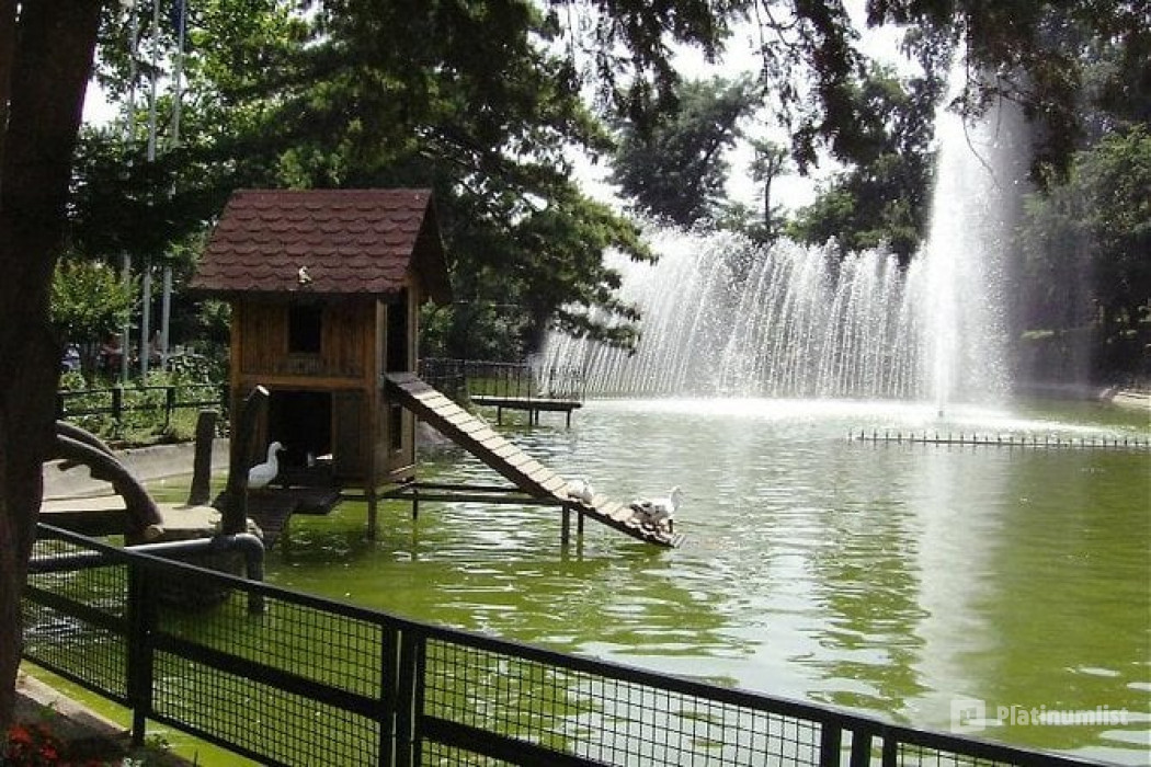 Istanbul: Day Trip to Scenic Sapanca, Masukiye and Kartepe in Istanbul: Gallery Photo 3e5kmm